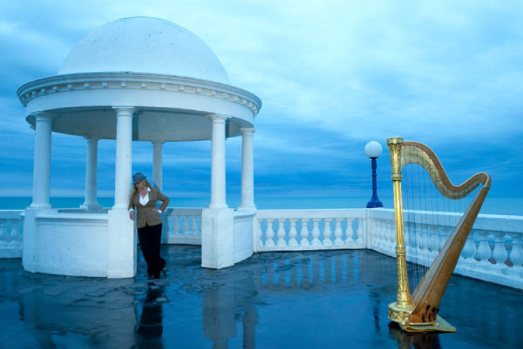 Fiona Harp Harpist from East Sussex2