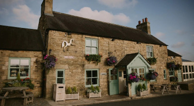 Black Horse Beamish