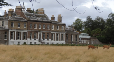 Hampton Court House