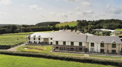 Llanerch Vineyard