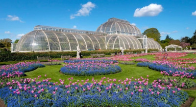 Royal Botanic Gardens Kew